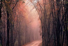 狗子28:辽宁休息日!赵继伟与王君瑞会餐,生病只能吃面食,喉咙仍沙哑!.