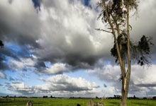 狗子28：冲击附加赛难了！太阳3连败又伤核心，收官面临最艰难赛程.