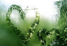 亚细安锦标赛20分钟进三球 雄狮挫东帝汶夺二连胜.