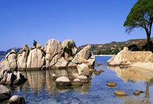 祝贺!国乒混团战胜德国队 取得四连胜央视新闻客户端.